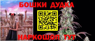 сатива Апшеронск