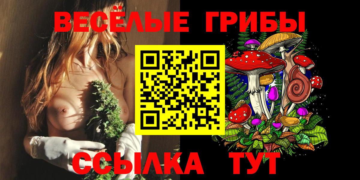 Белореченск  Псилоцибиновые грибы прущие грибы  Вход с VPN 