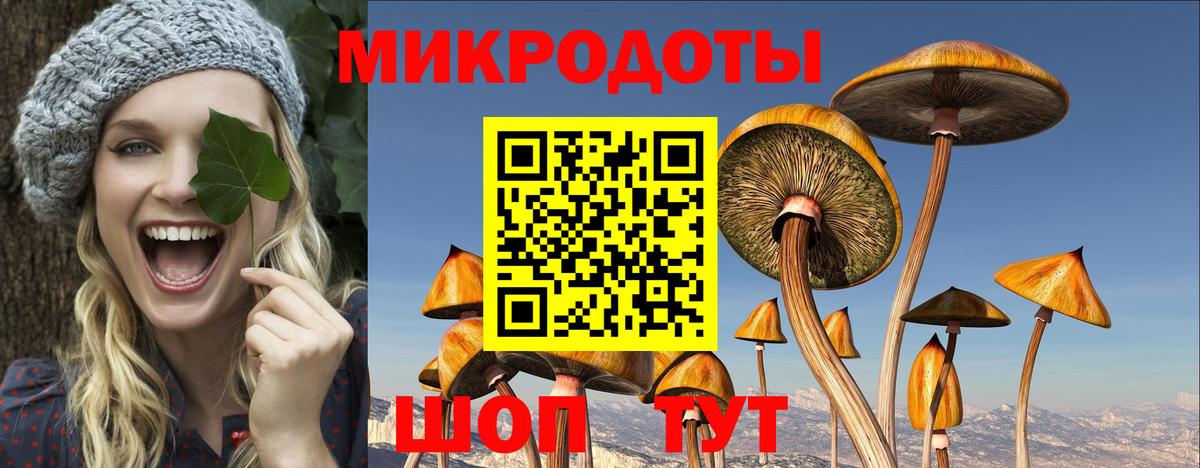 Псилоцибиновые грибы ЛСД Белореченск